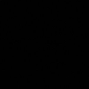 Meet your Posher, Ivanny